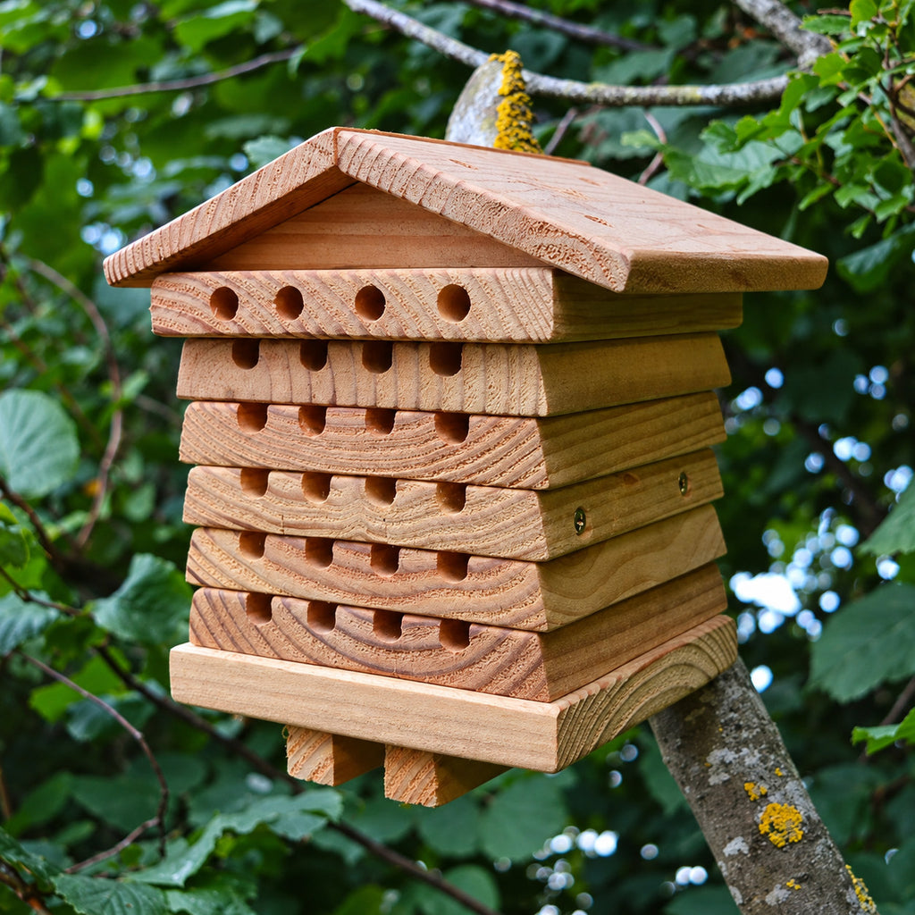 Wild Bee Hotel wooden nesting block hanging among garden foliage, shown from the front and side