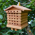 Wild Bee Hotel wooden nesting block hanging among garden foliage, shown from the front and side